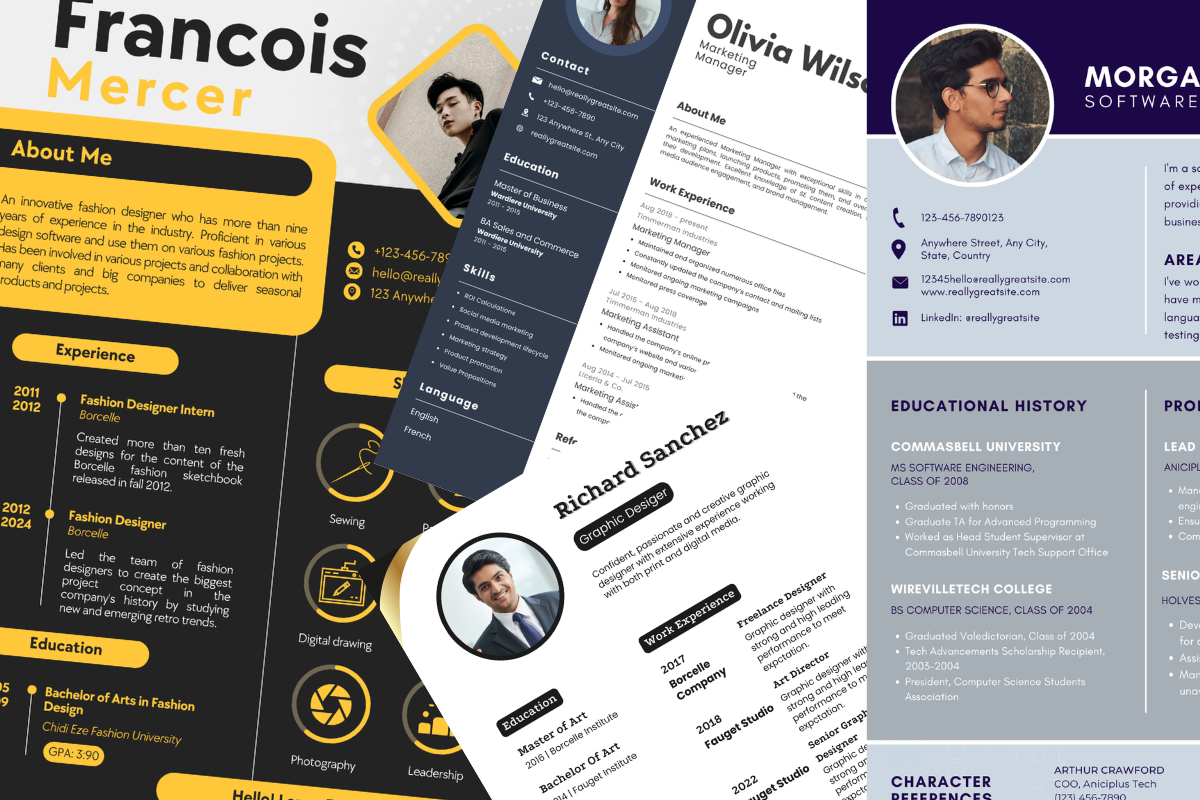 Professional CV Example